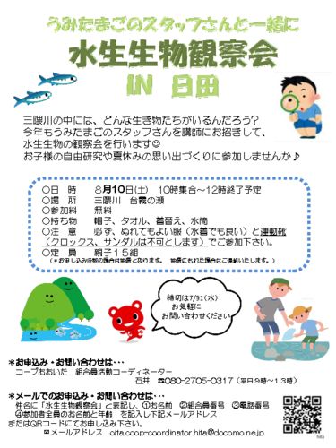 20190810_日田＿水生生物観察会のサムネイル